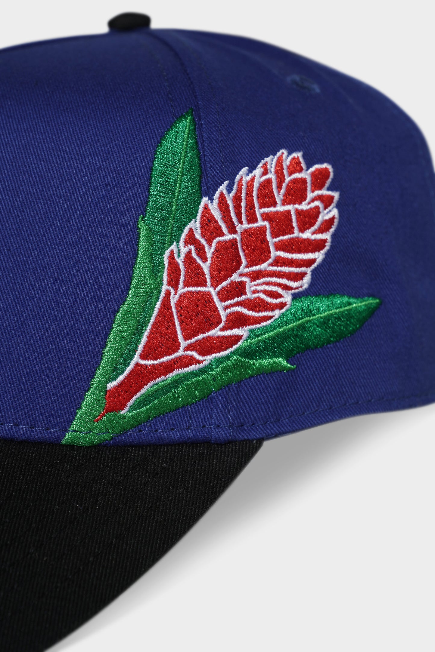 Manu Samoa Lifestyle A Frame Snapback Blue